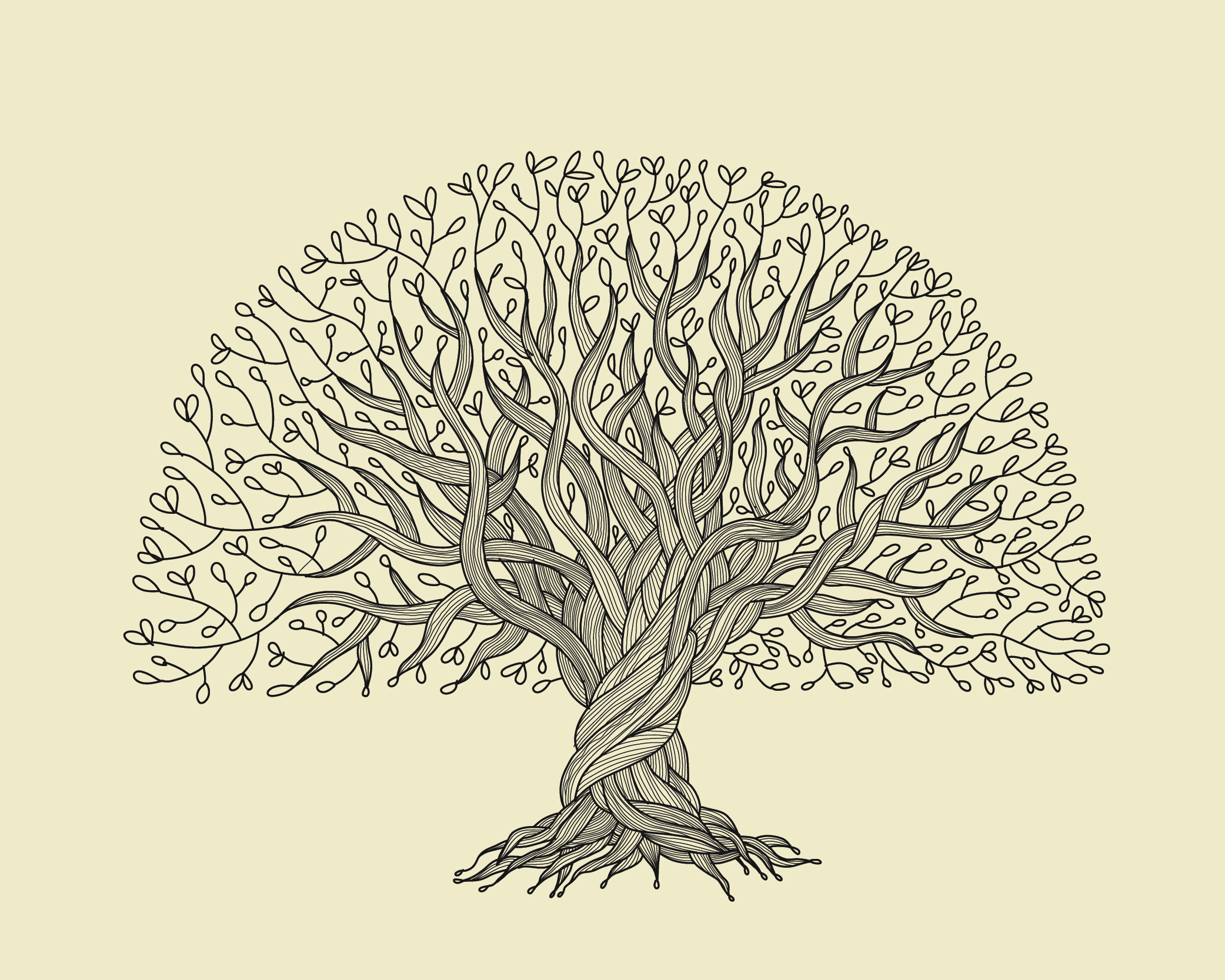 arbregenealogique