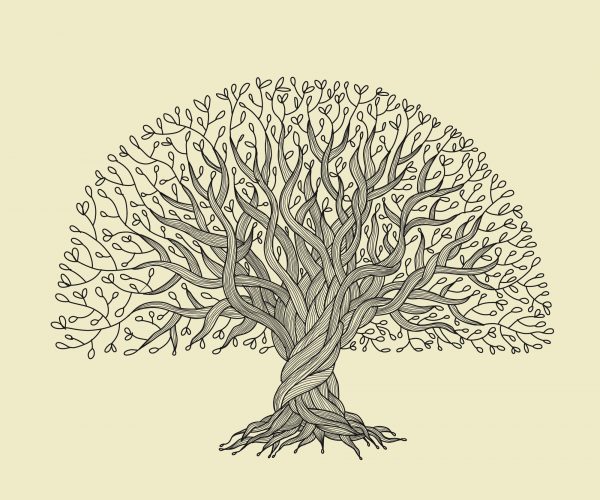 arbregenealogique